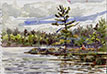Ruth Tait oil painting thumbnail image