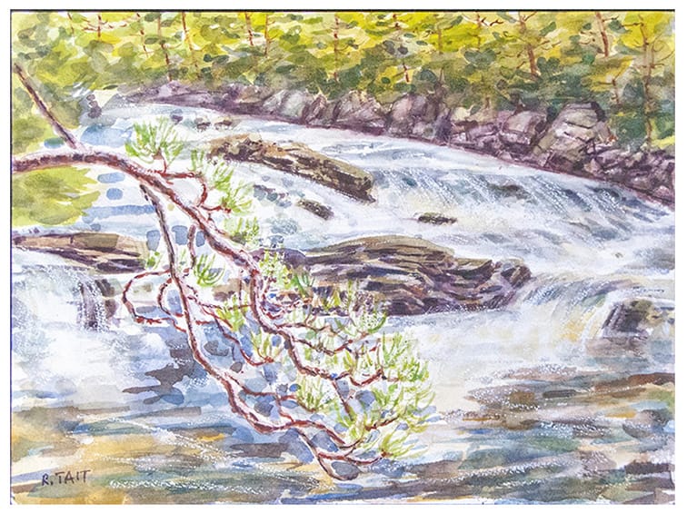 artwork by Ruth Tait
