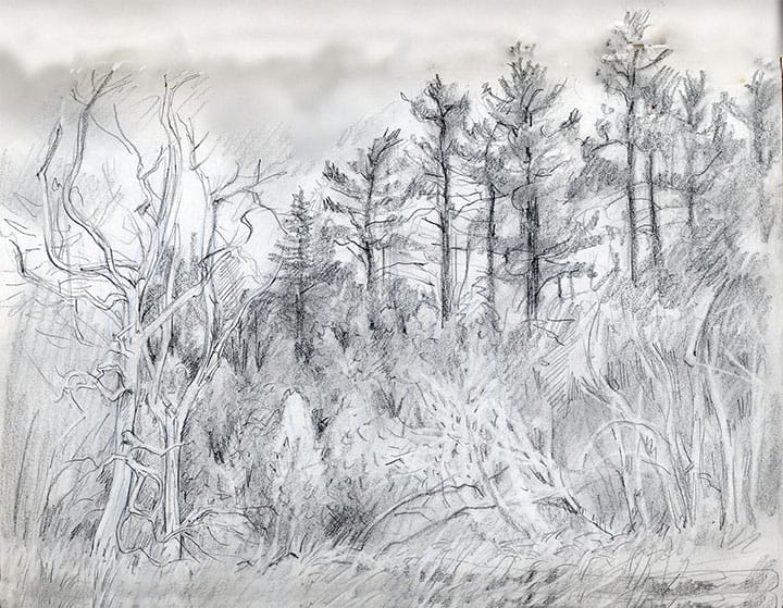 artwork by Ruth Tait