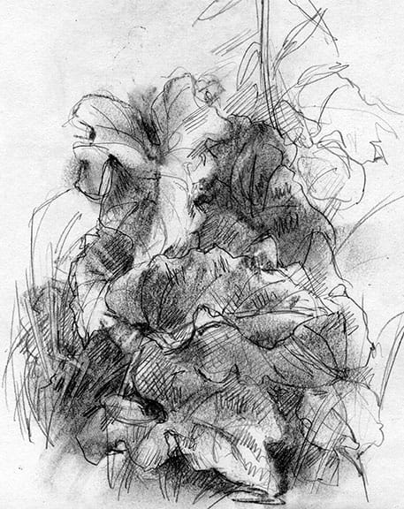 artwork by Ruth Tait