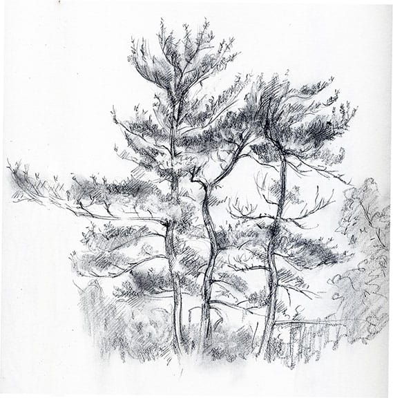 artwork by Ruth Tait